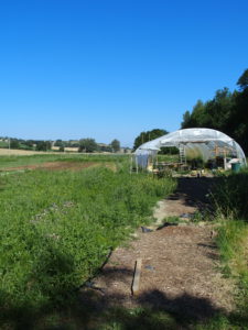 La serre et le jardin