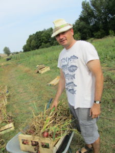 Antonin et les oignons